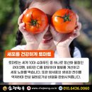 비타민도매몰 이미지