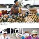 세화장 이미지