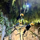 무태 오락실 | 16개월 아기와 영등포 실내 동물원 카페 주렁주렁에 다녀온 후기