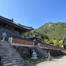 심원사 - 1872 | 성주 심원사 템플스테이 휴식형 1박 2일 후기 일출 명소