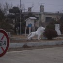 백룡초등학교 이미지