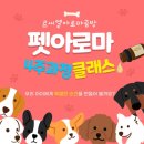쉽게 배우는 강아지 아로마 테라피 | 천안 르씨엘 아로마 공방 우리 반려동물 아로마테라피 펫아로마클래스 소개