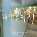 북촌데이트 안국역 그림 공방 식물이좋아서 방문후기