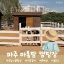 디엠팜 | 파주 <마롱팜 캠핑장>후기｜아이랑 가기 좋은 서울근교 감성캠핑장