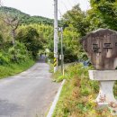 다락골줄무덤 주차장 이미지