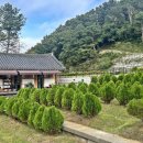 소정목장 | 남양주 무량수목장, 추석 전에 미리 알아보는 부모님 장지