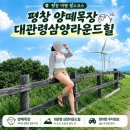 우정목장 | 대관령 강원도 여행 필수코스｜양떼목장부터 삼양라운드힐까지 초록초록 힐링여행