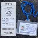통일대교