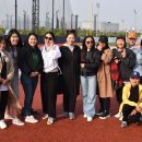 메디아트 이미지