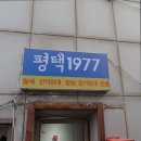 스테이1977