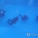 정서진119수난구조대 이미지