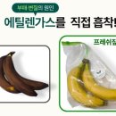 더프레쉬 네이버블로그