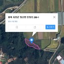 옥천부동산 중개인 사무소 이미지