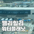 웰리 | 웰리힐리 워터플래닛 이용 후기 오픈런부터 카바나까지 총정리