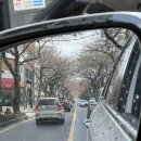 동귀주유소 이미지