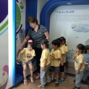 큰별초교병설유치원 이미지