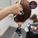 생활미용(헤어디자인) 이미지