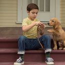 목감시티동물병원 이미지