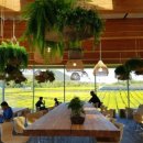 일동경로식당 이미지