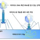 공상 이미지