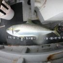 복사초등학교2 이미지