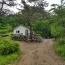 무릉도원면-20 이미지