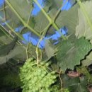 세환농장 이미지