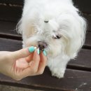 제인헬스케어 이미지