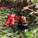 처연의 소리 이미지