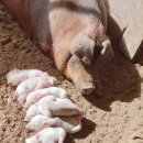 황성농장 이미지