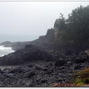 주상절리대 이미지