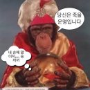 엄마김밥 이미지