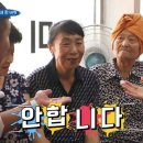 스카이라인루지부산 이미지