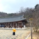 396 | 안동 한옥카페 추천｜아침 햇살 가득한 감성 브런치 맛집, 월영교 근처 카페 396커피구름에 후기