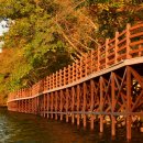 장성호 주차장 2 화장실 | [여행] 입장료 3천 원 내면 돈 돌려받는다고? 장성호 수변길, 단풍+출렁다리 힐링 코스!