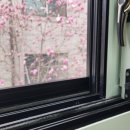 테헤란로 | 강남 테헤란로 퍼틸레인 빌딩 방충망 시공 후기 (롤방충망 59개 + 미서기방충망 2개)