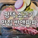 반앤파파 이미지