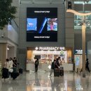 월드탑약국 이미지