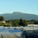 하품민박 이미지