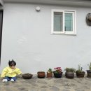 신촌1974