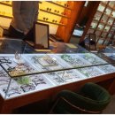 해운대안경 이미지