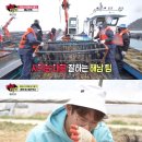 광희 농가 이미지