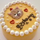 퍼피젤리 이미지