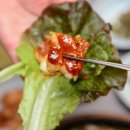 다솔식당 - 시흥시 산기대학로 322 | 다솔식당