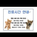 엘케이동물병원 | 엘케이동물병원후기