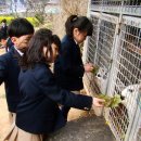 몬테소리유치원 이미지