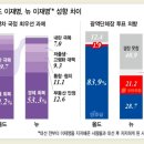 올드vs뉴이재명 광역단체장 투표 의향 이미지
