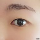 속눈썹하리 | 전주속눈썹펌 | 하리브로우 방문 후기