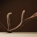 제생당한의원 이미지