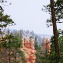 KJ행정사사무소 이미지